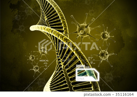 model of twisted chrome DNA chain 35116164