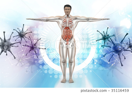 human anatomy with virus human anatomy with virus 35116459