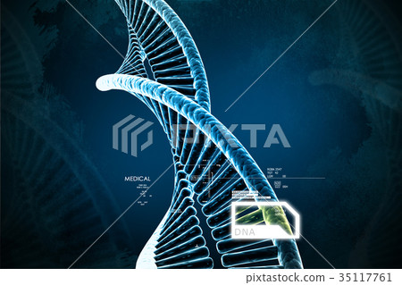 model of twisted chrome DNA chain 35117761
