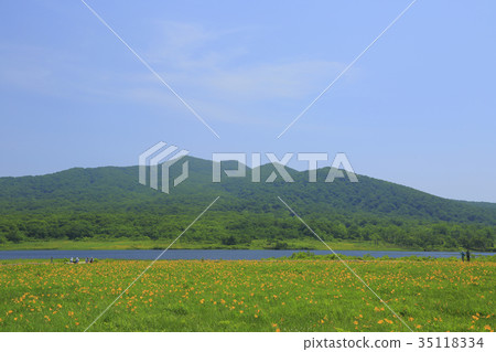 小國沼池 小國沼池 35118334