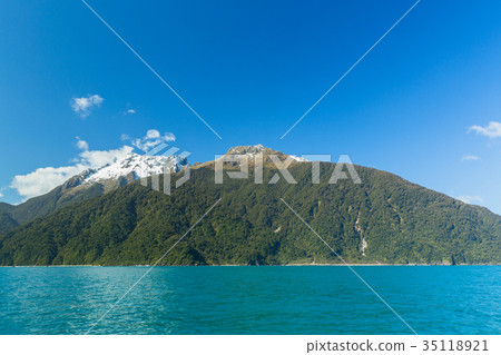 新西蘭峽灣國家公園米爾福德峽灣大象 35118921