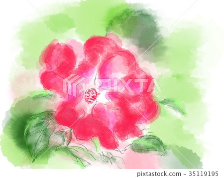 Flower illustration Flower illustration 35119195