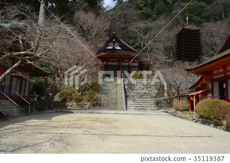 Nanzan Shrine（奈良縣櫻井市，Takemine）的理由 35119387