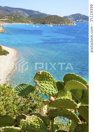 Is Canaleddus beach in Sardinia, Italy 35119399
