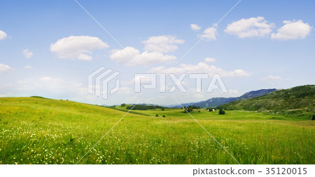 summer valley summer valley 35120015