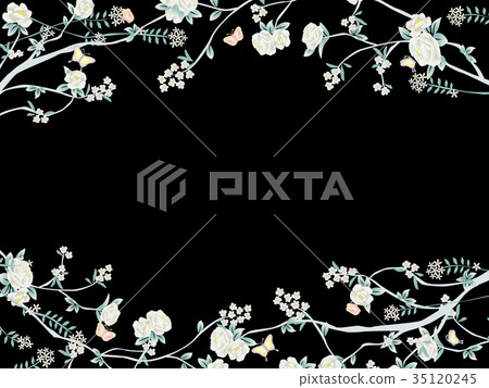 植物 植物學 植物的 35120245