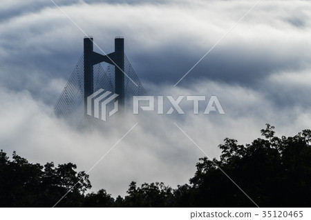 Chichibu Unkai 35120465