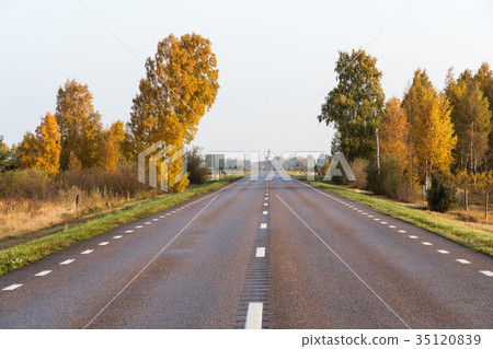 Sparkling trees by roadside 35120839