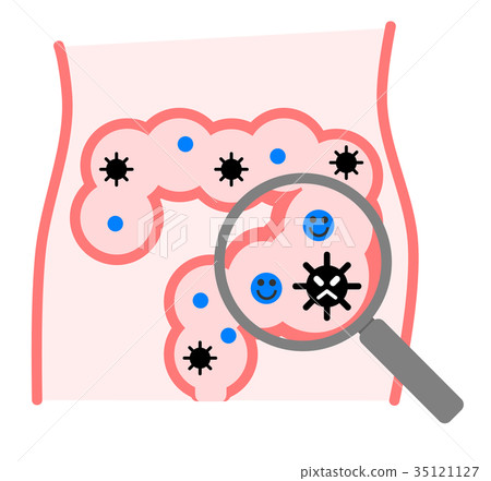 腸道環境 35121127