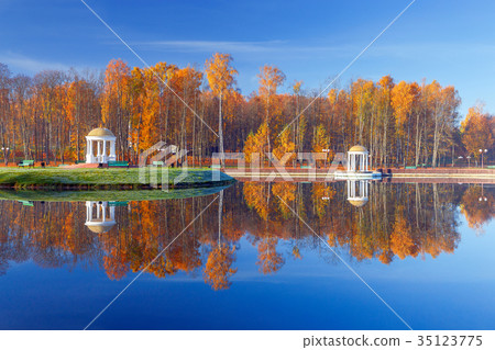 Yellow leaves in an autumn park. 35123775