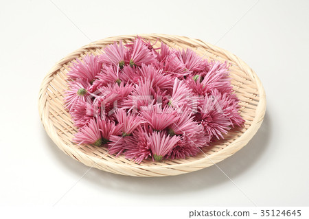 食用菊花 35124645