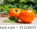 Yellow Tomatoes 35124655