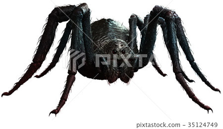 Giant spider 35124749