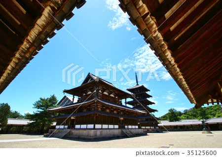 Horyuji temple 35125600