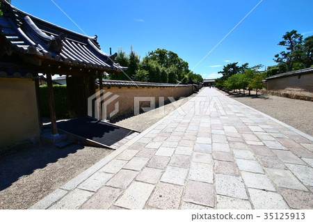 Horyuji temple 35125913
