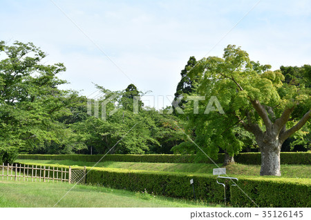 日本的100座大城堡/櫻花城堡 35126145