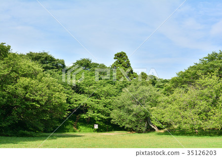 Japan's 100 Great Castles / Sakura Castle 35126203