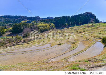 Wait for rice planting Oyama Senmaida 35126308