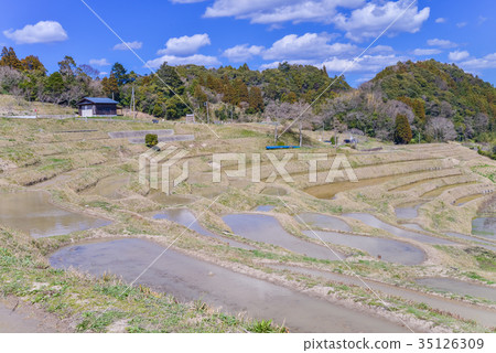 Wait for rice planting Oyama Senmaida 35126309