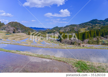 Wait for rice planting Oyama Senmaida 35126310
