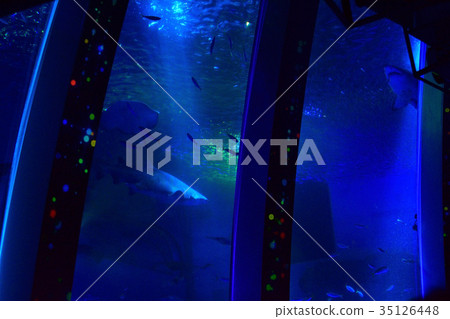 Hakkeijima Sea Paradise Hakkeijima Sea Paradise 35126448