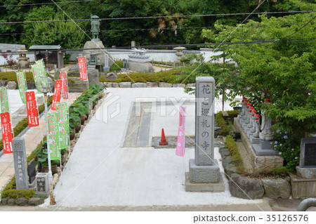 Miura和Myeongonji 35126576