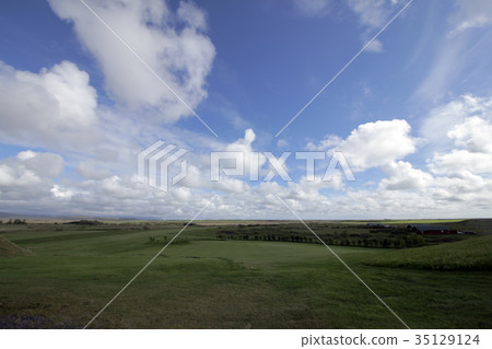 綠色草原 35129124