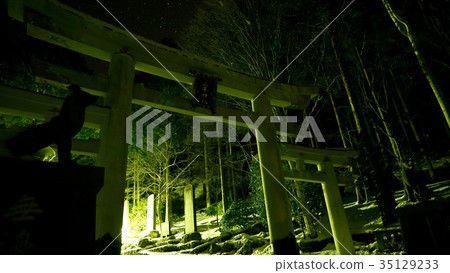 Mimine Shrine在晚上 35129233