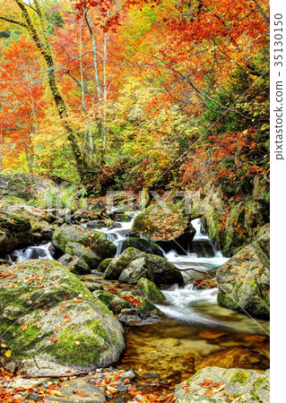 Tatsuha Tatsuha峽谷 35130150