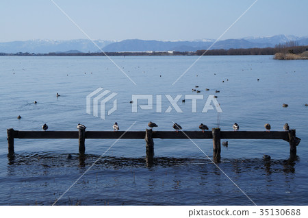 琵琶湖角 35130688
