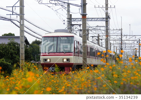 Goodbye Nishitetsu Limited Express 8000 Nishitetsu Tenjin Omuta Line: Nakajima-Enoura Goodbye Nishitetsu Limited Express 8000 Nishitetsu Tenjin Omuta Line: Nakajima-Enoura 35134239