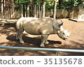 Rhino 35135678
