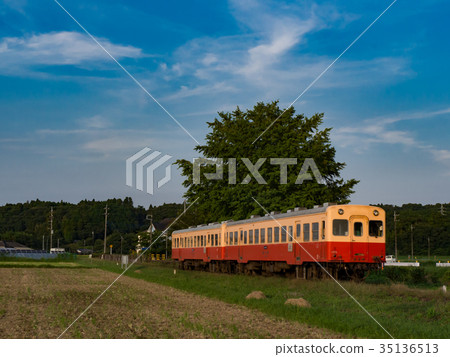 Kamiso Kubo Station and Ginkgo Oki Kamiso Kubo Station and Ginkgo Oki 35136513