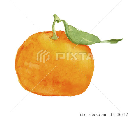 Mandarins with leaves 35136562