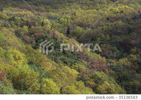 秋山立山 秋山立山 35136583
