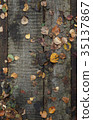 wooden pathway with dry autumn leaves background 35137867