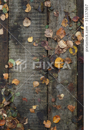 wooden pathway with dry autumn leaves background wooden pathway with dry autumn leaves background 35137867