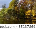 autumn park lake with bright fall season trees 35137869