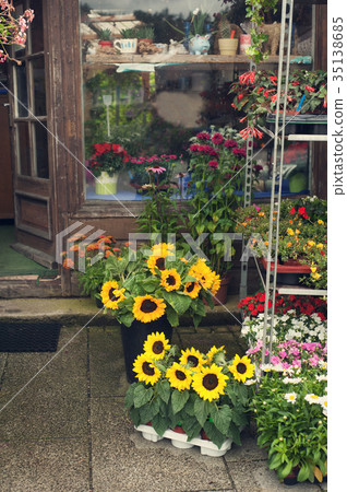 Sunflowers and daisies in flower shop 35138685