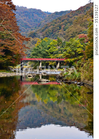 Autumn leaves 35139127