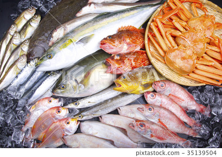 魚材料 魚材料 35139504