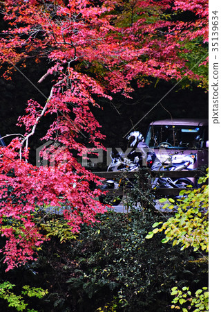 Autumn leaves 35139634