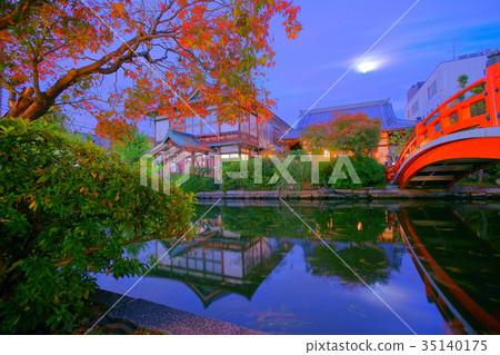 autumn illumination of Shinsenen autumn illumination of Shinsenen 35140175