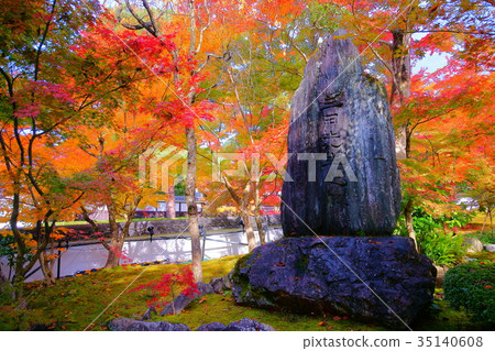Early autumn inEikando Temple Early autumn inEikando Temple 35140608
