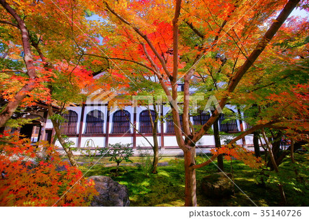 Eikando Temple in Early autumn Eikando Temple in Early autumn 35140726