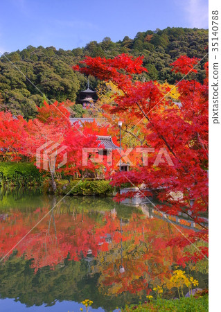 Eikando Temple pond in Early autumn  35140788
