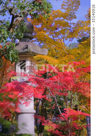 Eikando Temple Stone lantern in early autumn Eikando Temple Stone lantern in early autumn 35140916