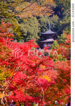 Eikando Temple doboto 35143889