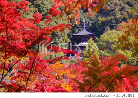 Eikando Temple doboto Eikando Temple doboto 35143891