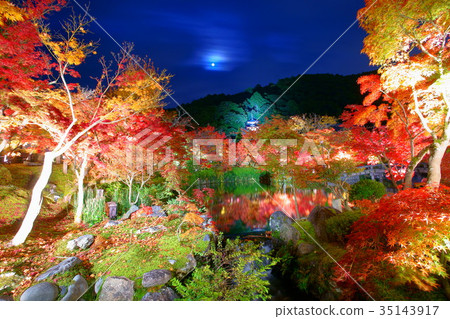 Eikando Temple moon rising in autumn  35143917
